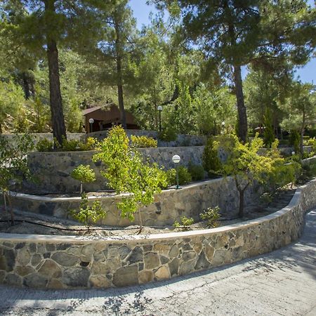 Ricky Chalet Near Troodos Spilia 외부 사진