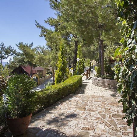 Ricky Chalet Near Troodos Spilia 외부 사진