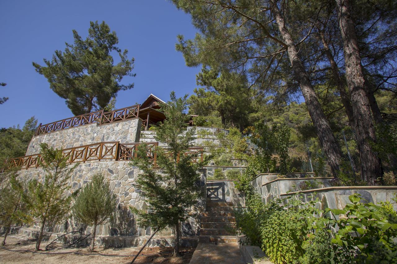 Ricky Chalet Near Troodos Spilia 외부 사진