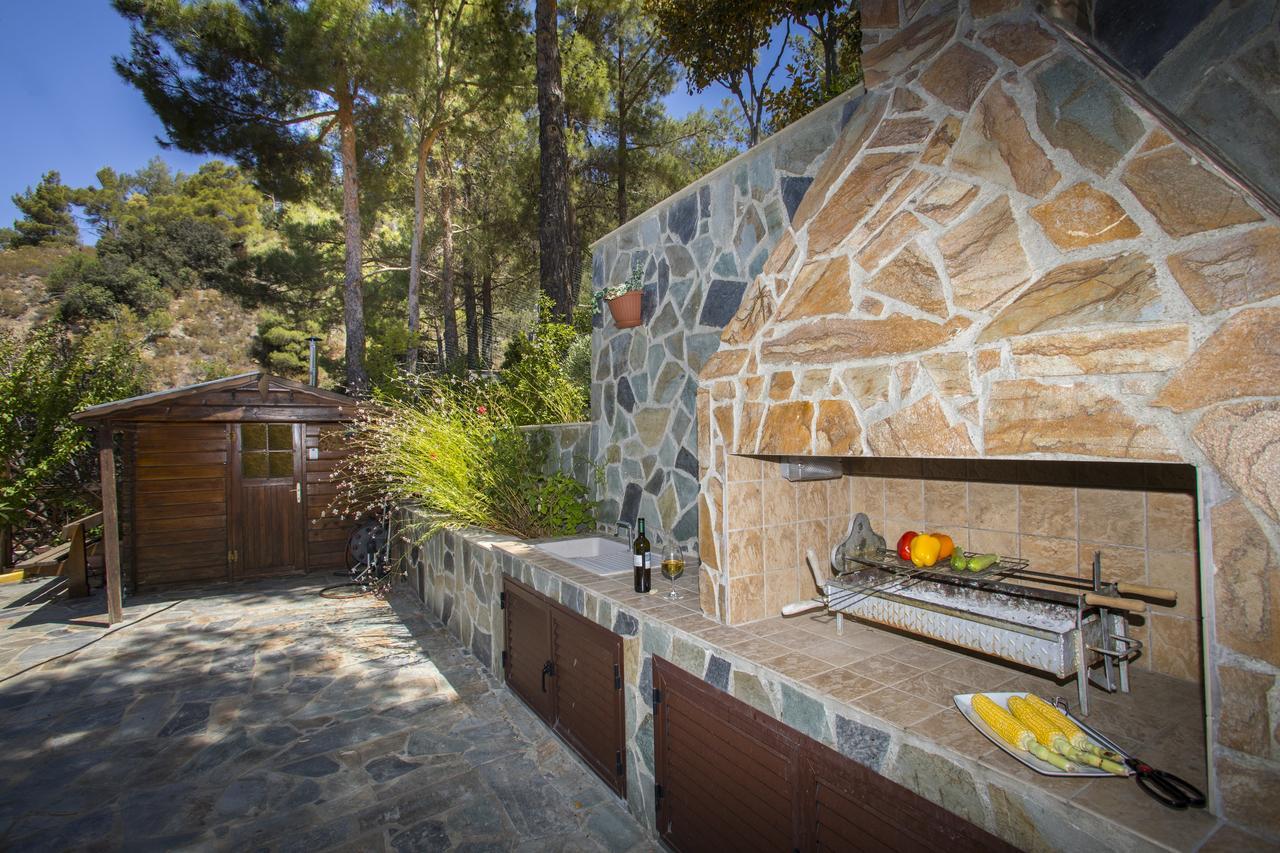 Ricky Chalet Near Troodos Spilia 외부 사진