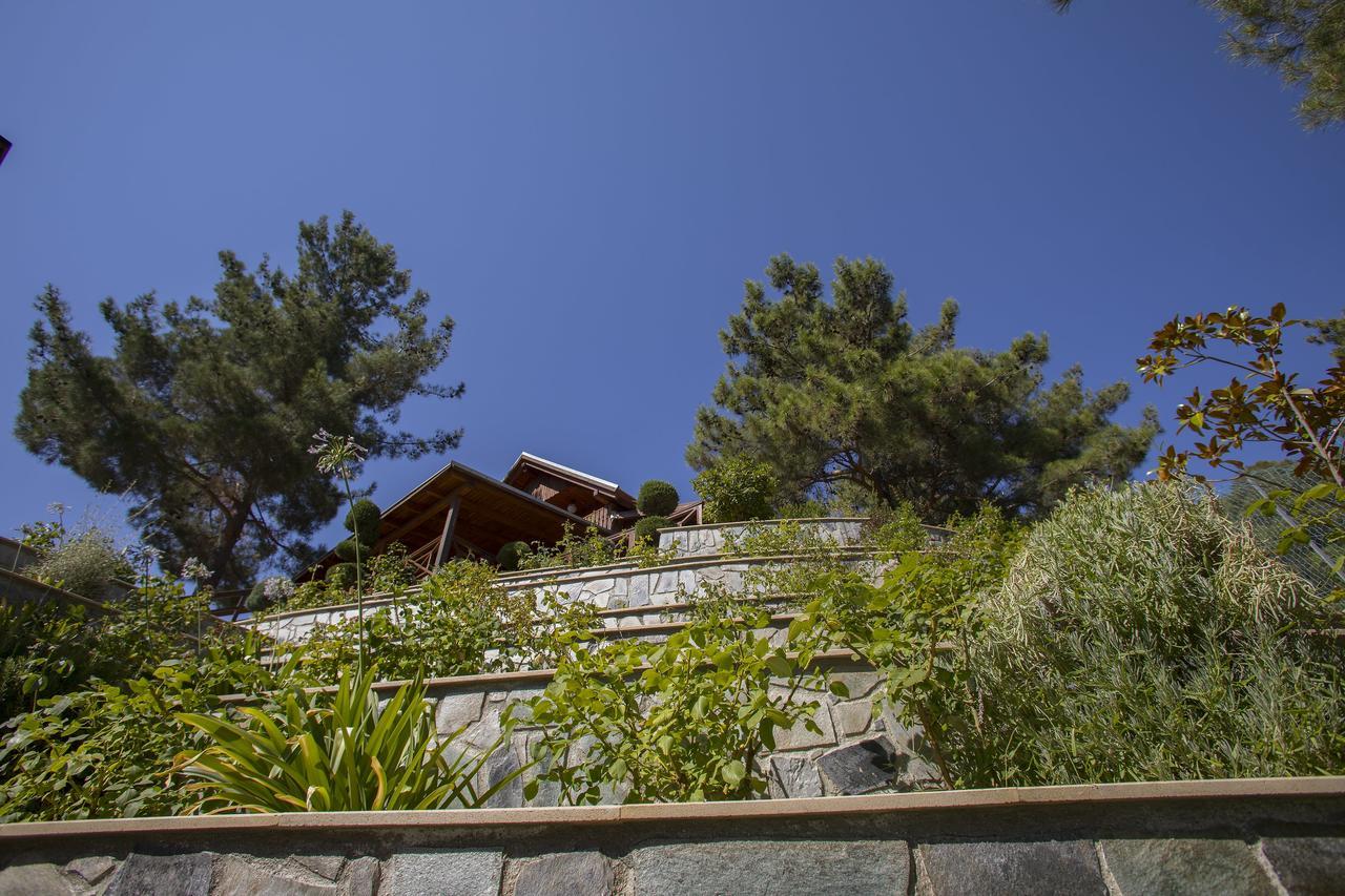 Ricky Chalet Near Troodos Spilia 외부 사진