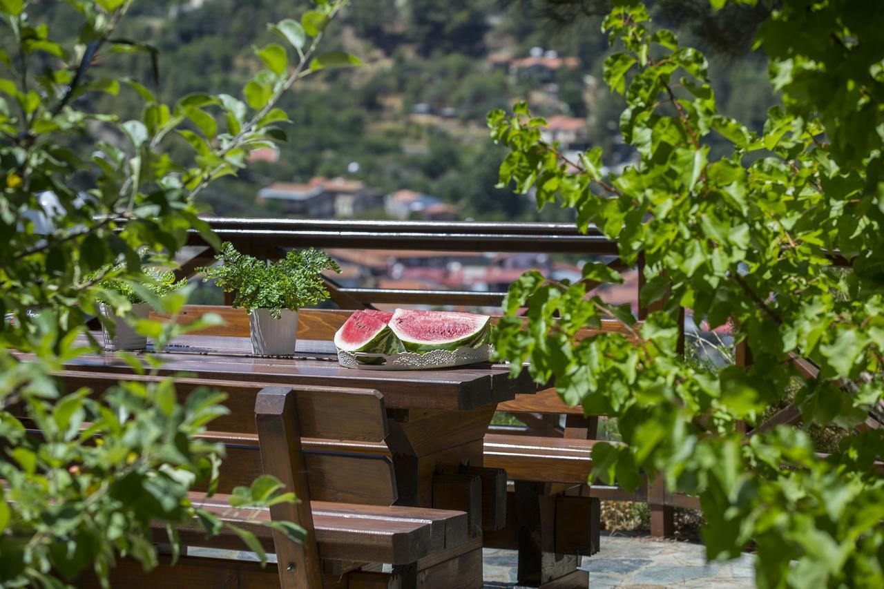Ricky Chalet Near Troodos Spilia 외부 사진