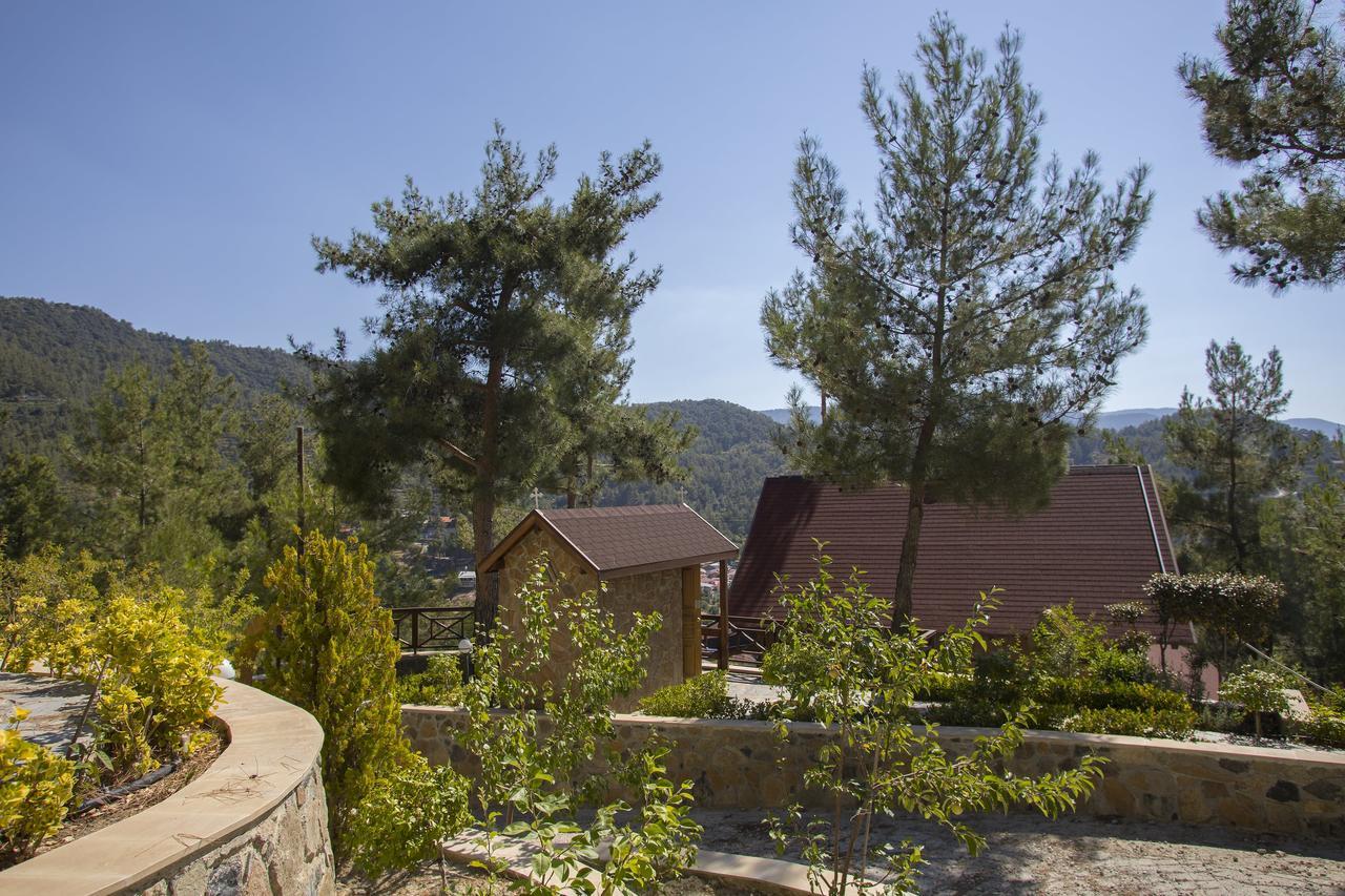 Ricky Chalet Near Troodos Spilia 외부 사진