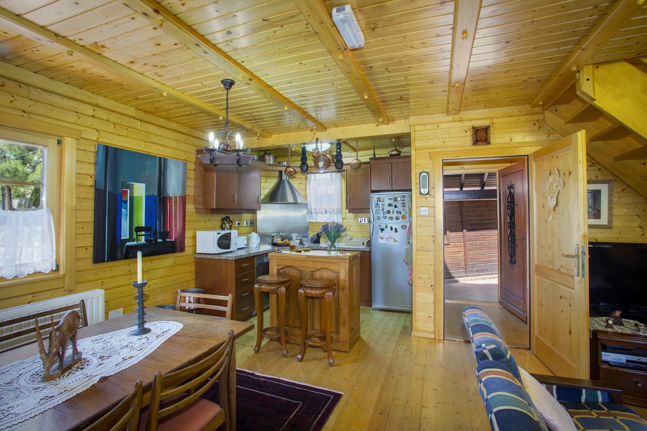 Ricky Chalet Near Troodos Spilia 외부 사진