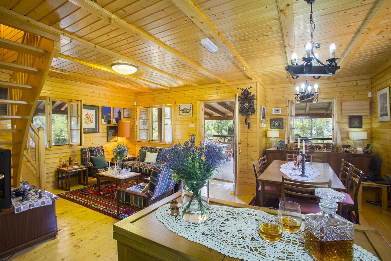 Ricky Chalet Near Troodos Spilia 외부 사진