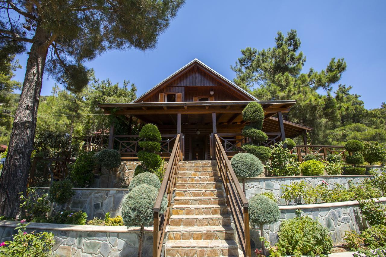 Ricky Chalet Near Troodos Spilia 외부 사진