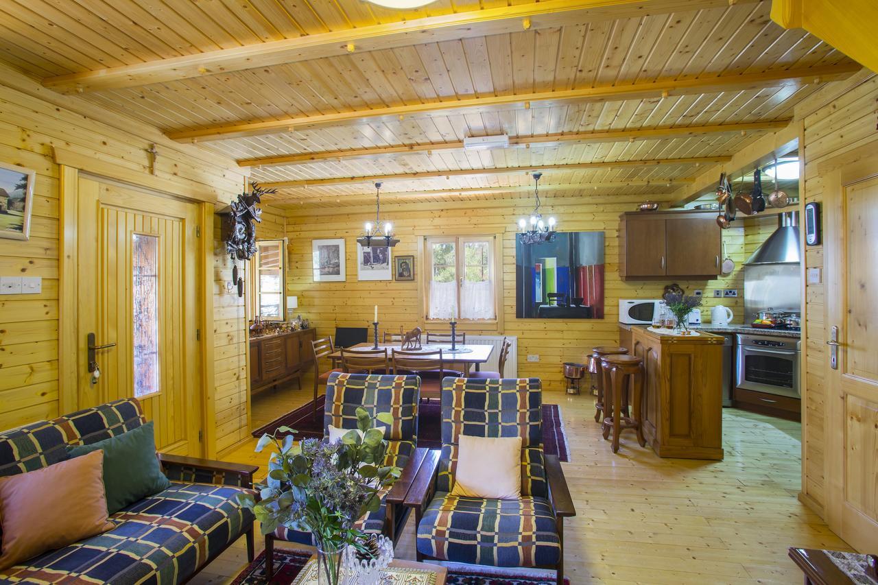 Ricky Chalet Near Troodos Spilia 외부 사진