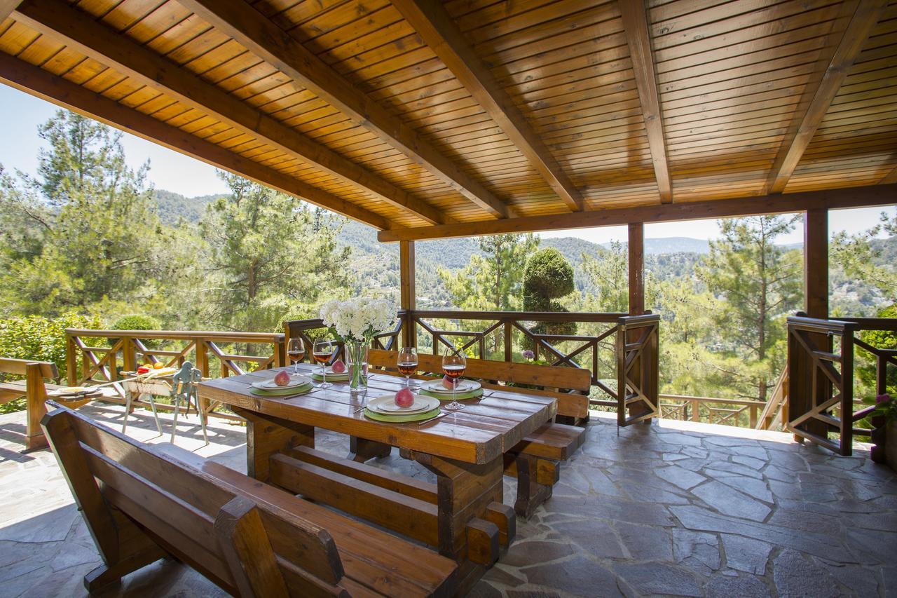 Ricky Chalet Near Troodos Spilia 외부 사진