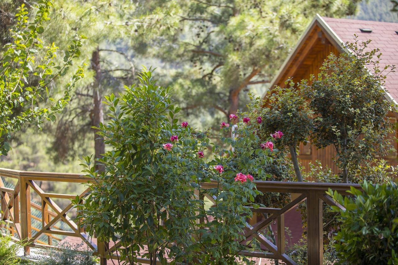Ricky Chalet Near Troodos Spilia 외부 사진