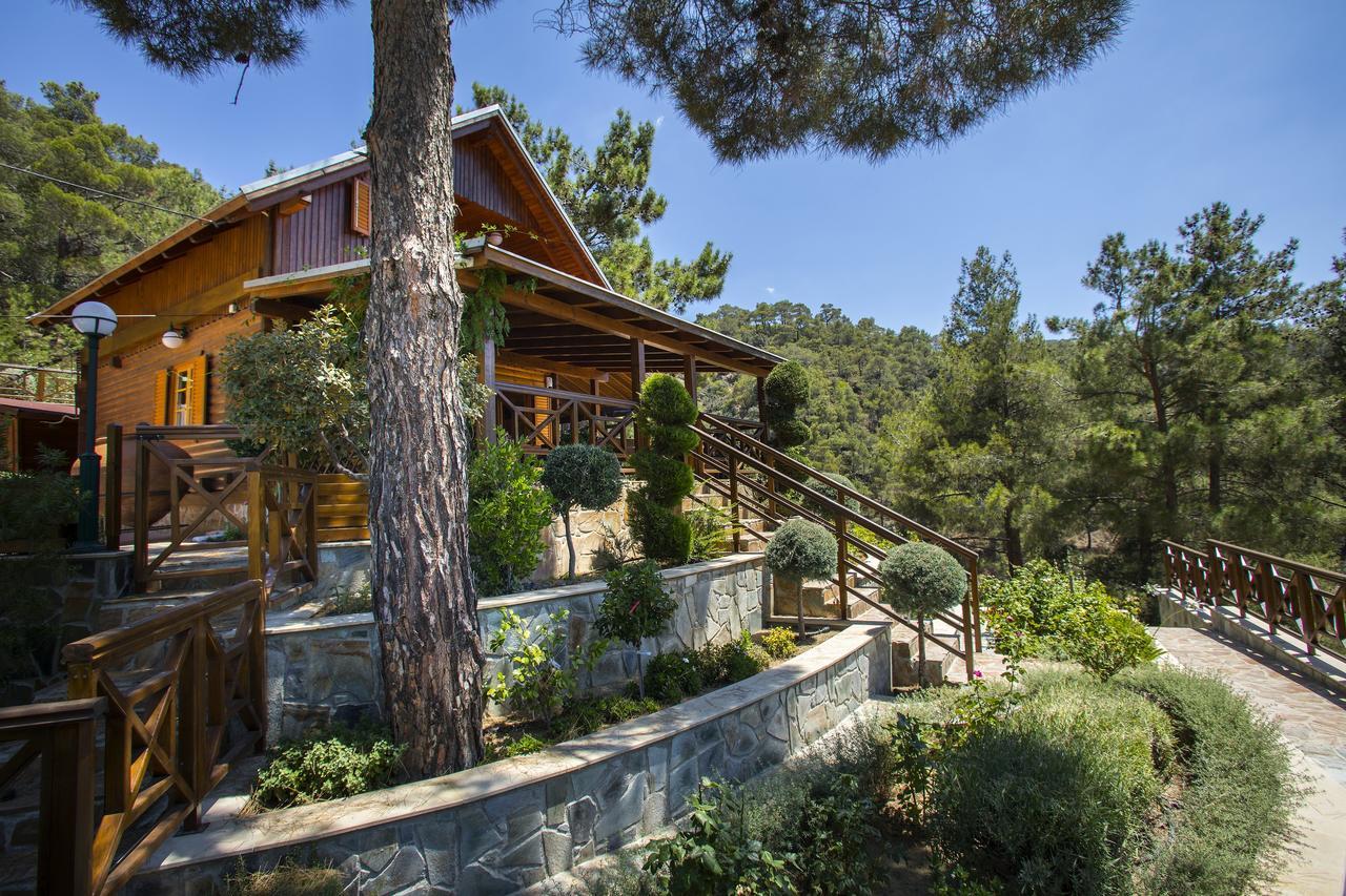 Ricky Chalet Near Troodos Spilia 외부 사진