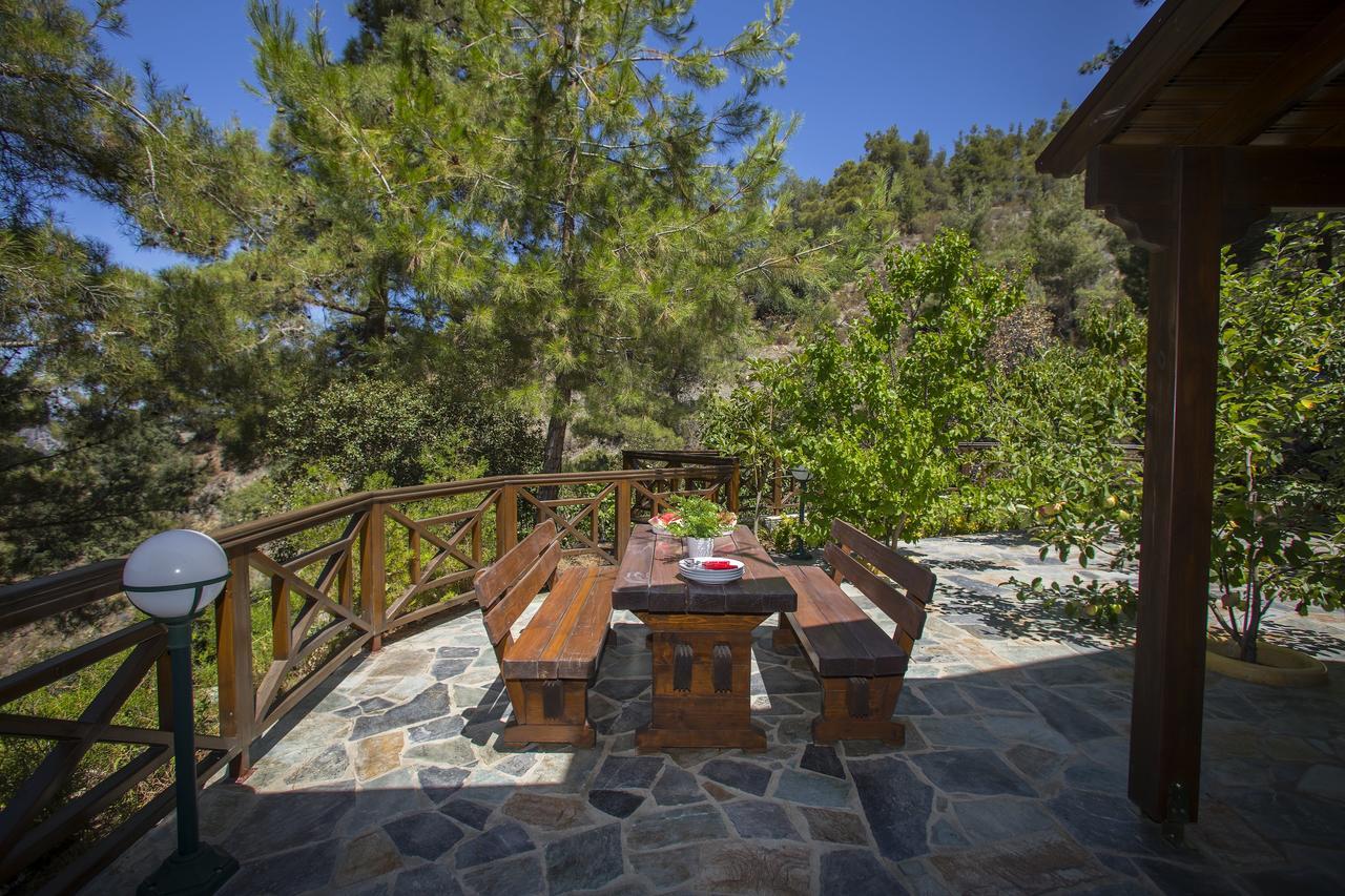 Ricky Chalet Near Troodos Spilia 외부 사진