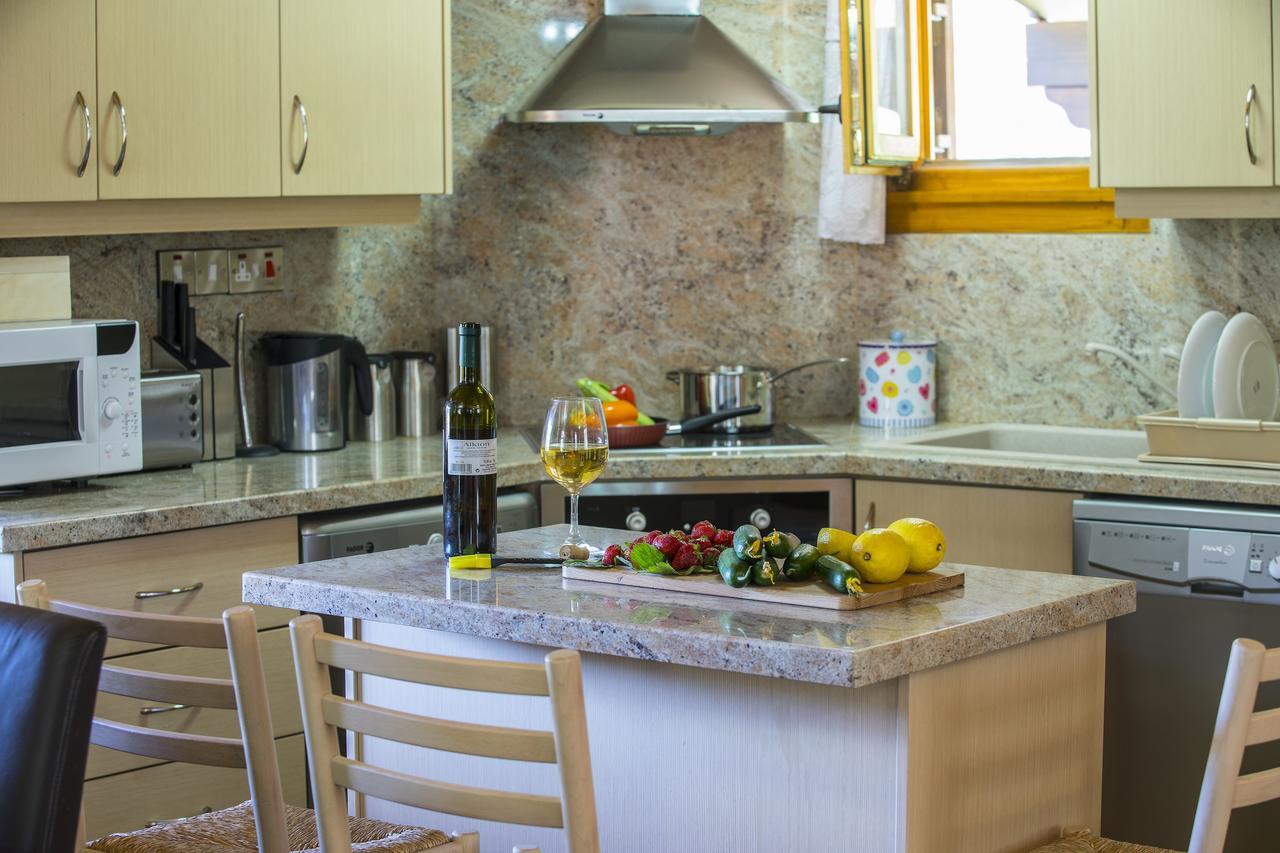 Ricky Chalet Near Troodos Spilia 외부 사진