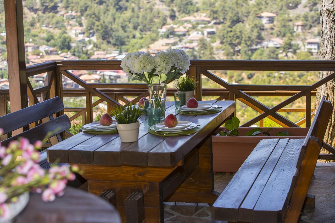 Ricky Chalet Near Troodos Spilia 외부 사진