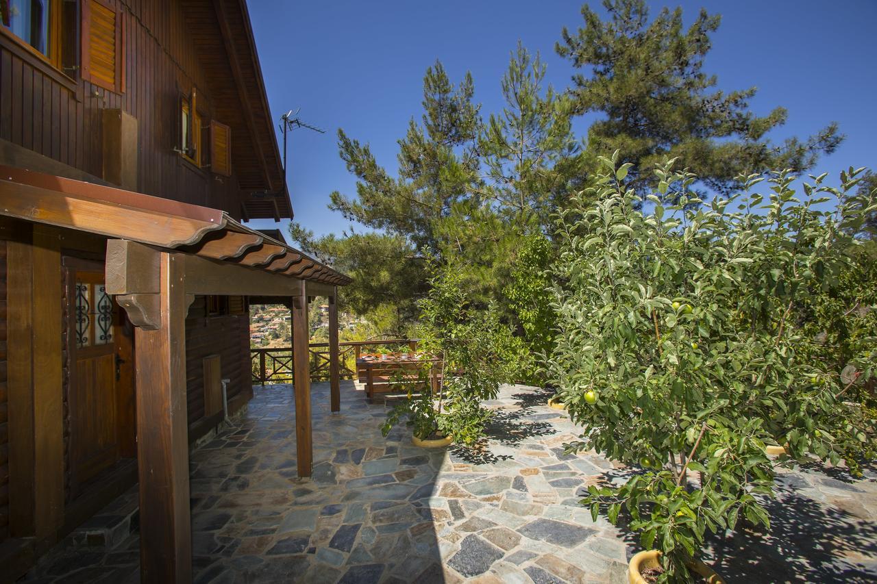 Ricky Chalet Near Troodos Spilia 외부 사진