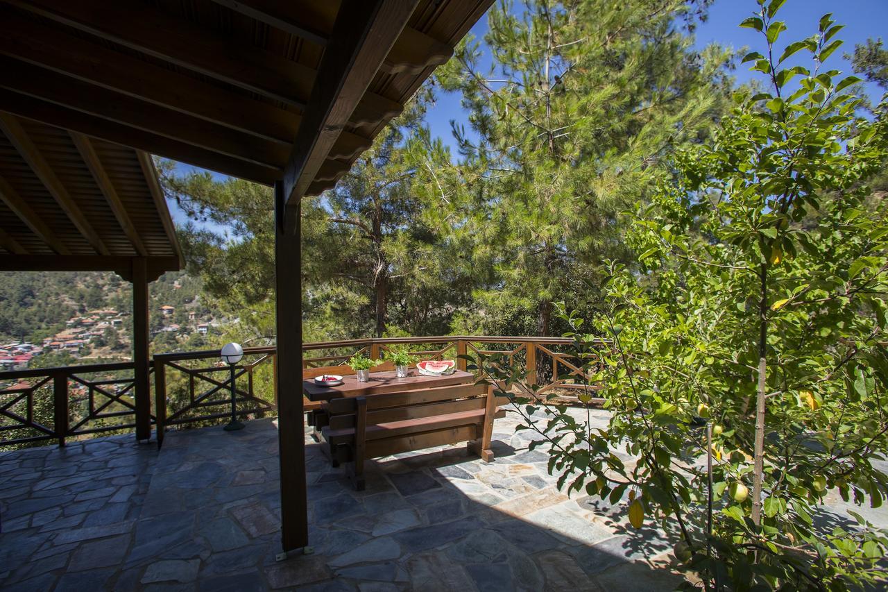 Ricky Chalet Near Troodos Spilia 외부 사진