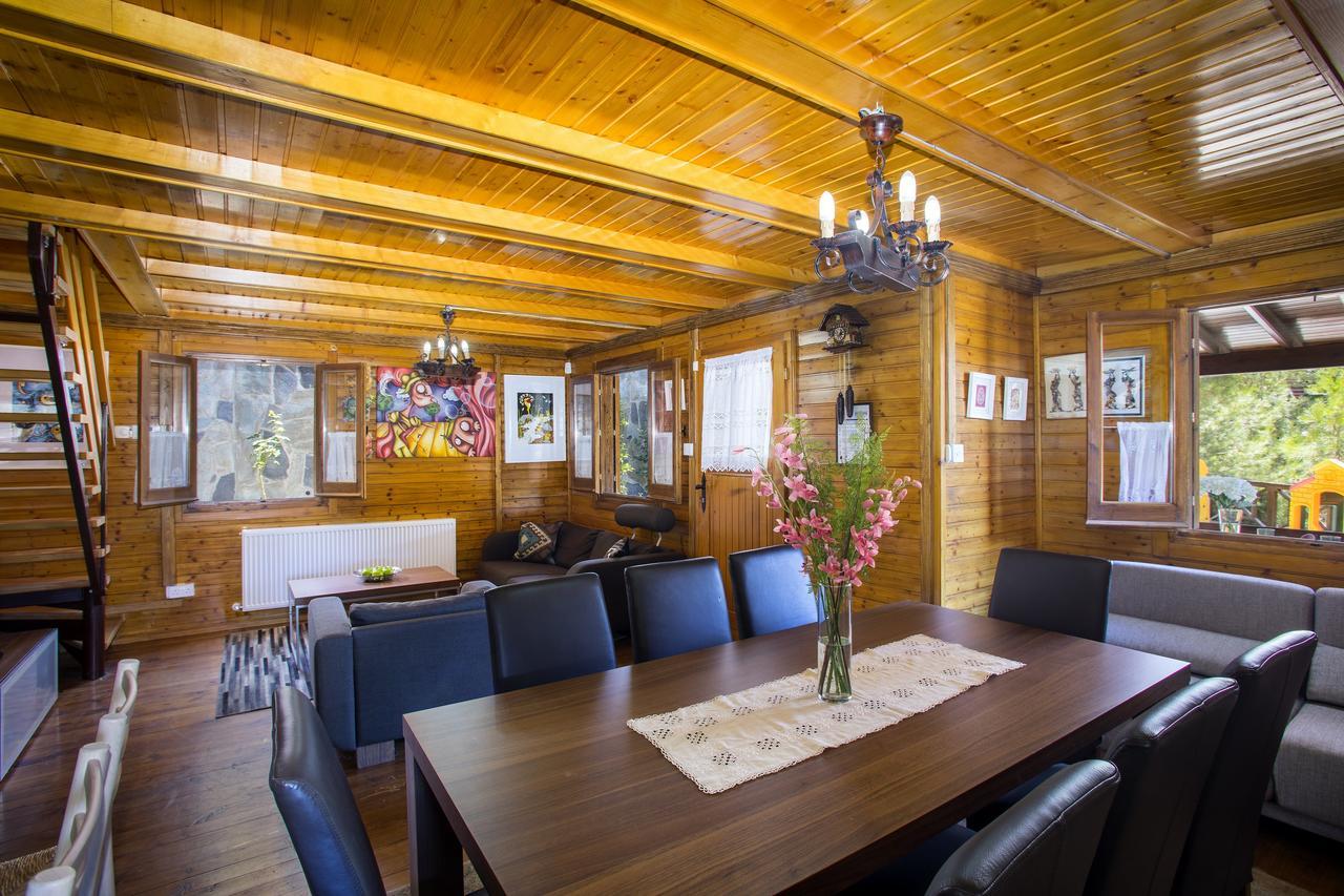 Ricky Chalet Near Troodos Spilia 외부 사진